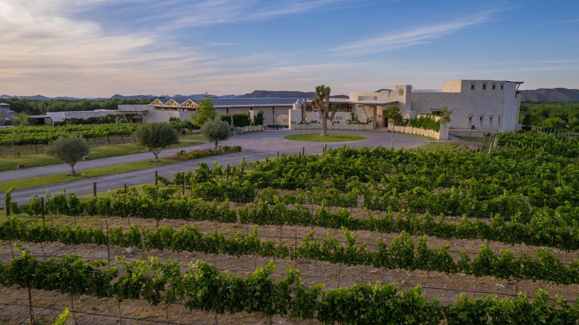 Hotel Vinicola Parvada By Lumina Parras de la Fuente Zewnętrze zdjęcie